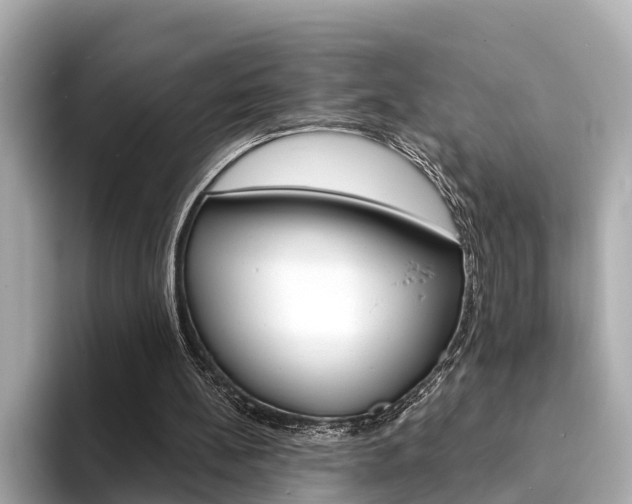 X0000094330148200711021137