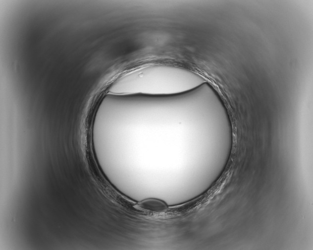 X0000094330149200711021137