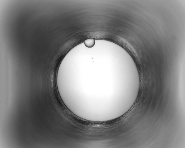 X0000094330163200711021137