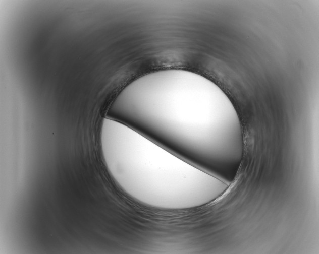 X0000094330170200711021137