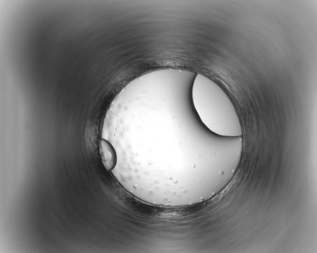 X0000094330171200711021137