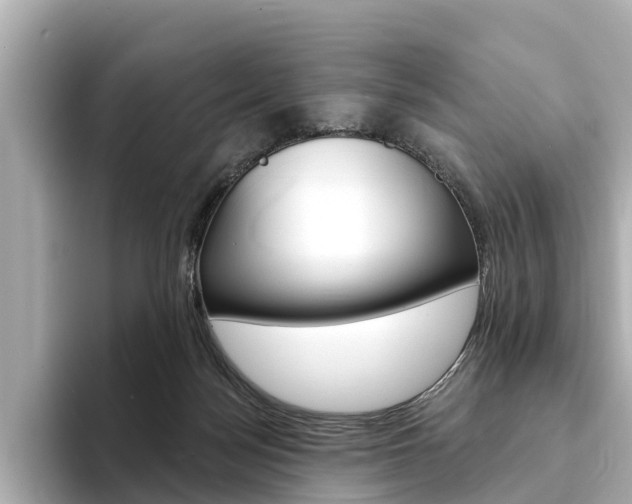 X0000094330172200711021137