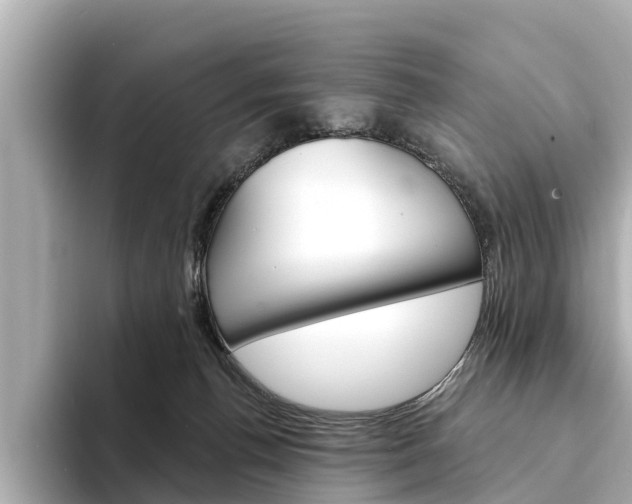X0000094330176200711021137