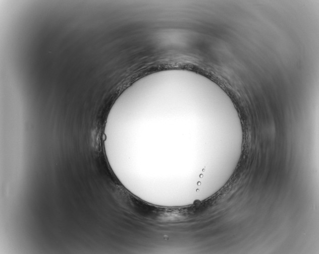 X0000094330177200711021137