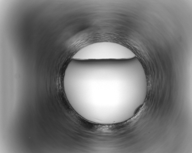X0000094330182200711021137