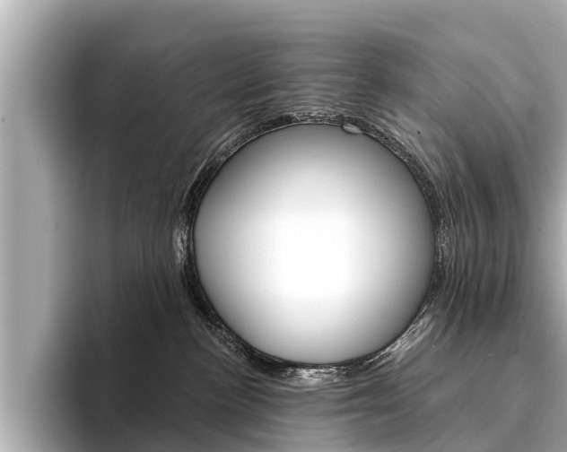 X0000094330188200711021138