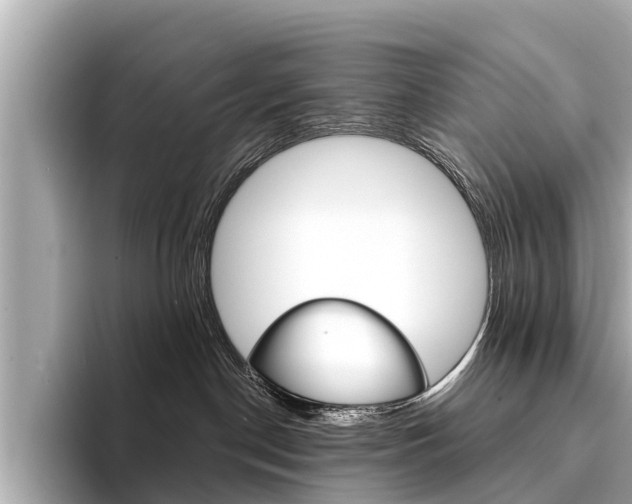 X0000094330190200711021138
