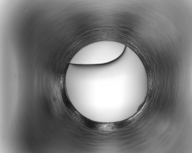 X0000094330191200711021138