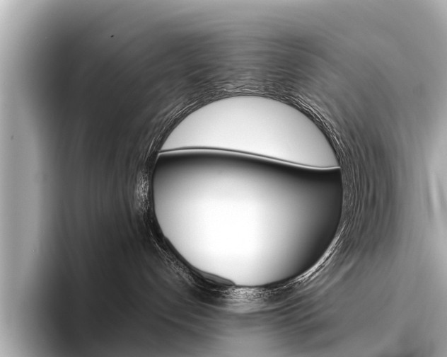 X0000094330192200711021138