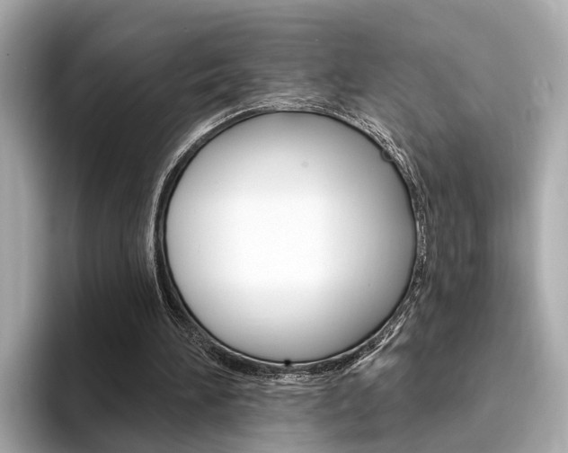 X0000094330196200711021137