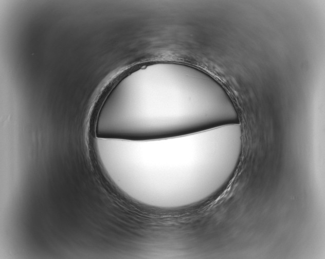 X0000094330200200711021137