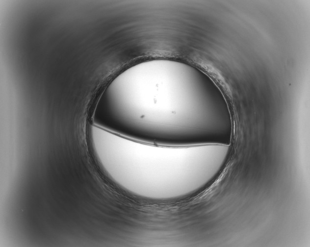 X0000094330201200711021137