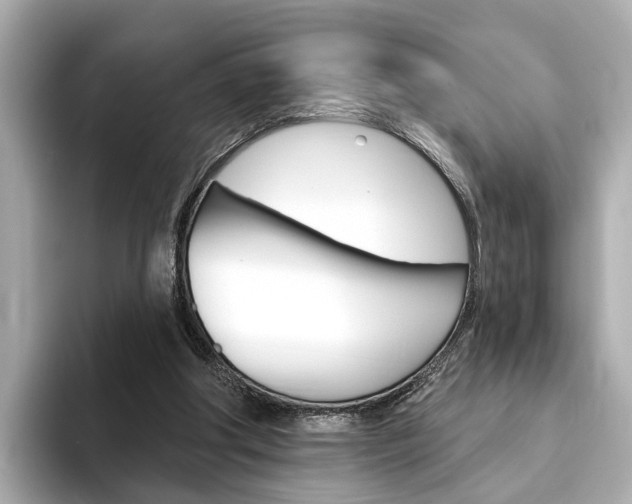 X0000094330202200711021137