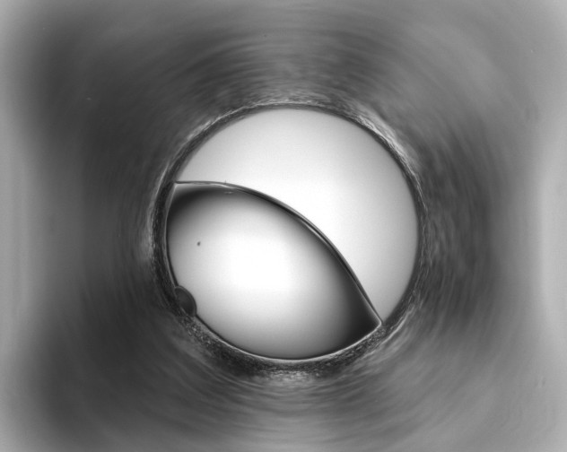 X0000094330203200711021137