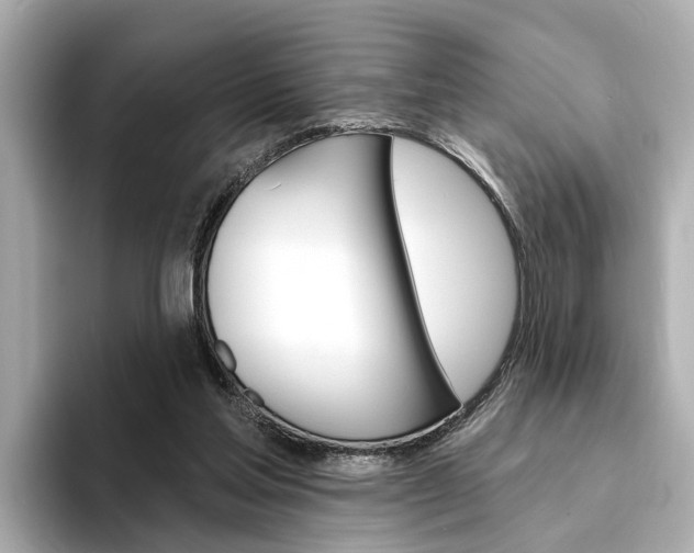 X0000094330205200711021137