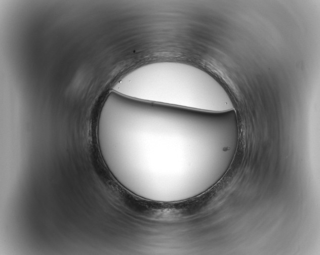 X0000094330212200711021137