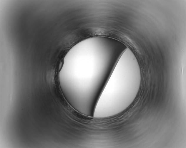 X0000094330217200711021137