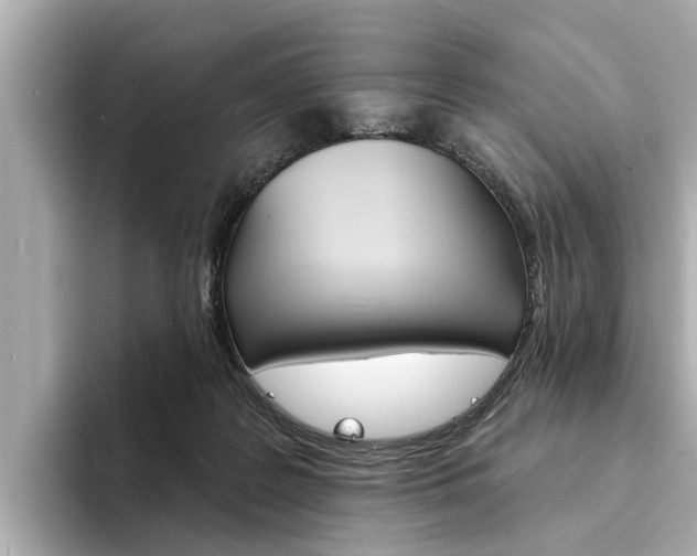 X0000094330219200711021137