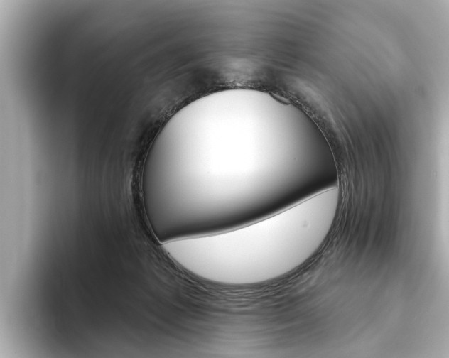 X0000094330221200711021137