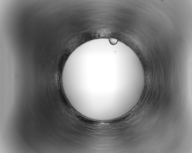 X0000094330222200711021137