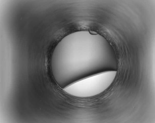 X0000094330223200711021137