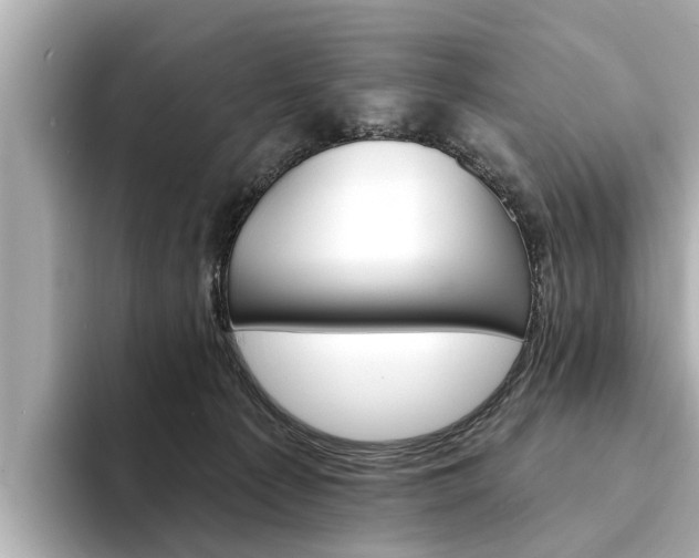 X0000094330225200711021137