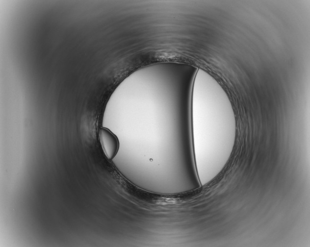 X0000094330227200711021137