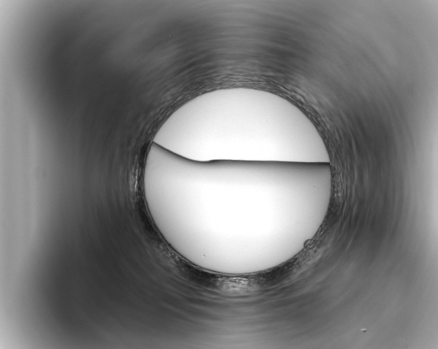 X0000094330230200711021137