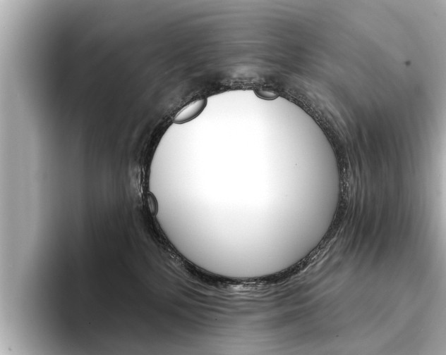 X0000094330232200711021137