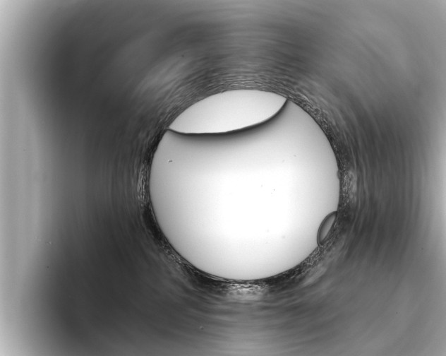 X0000094330234200711021137