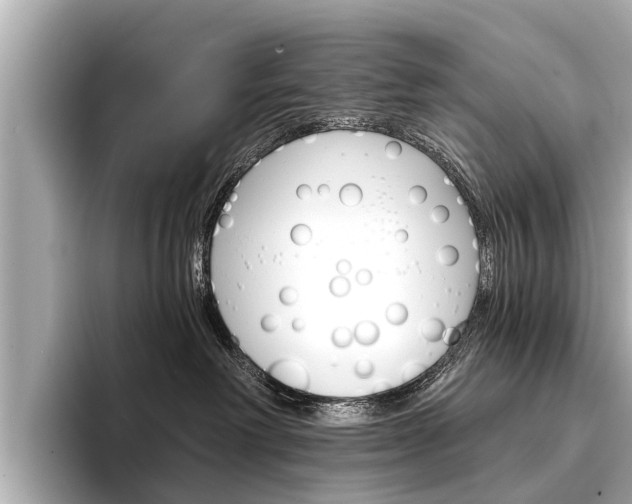 X0000094330238200711021137