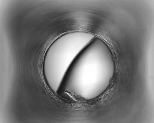 X0000094330241200711021136