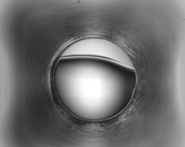 X0000094330244200711021136