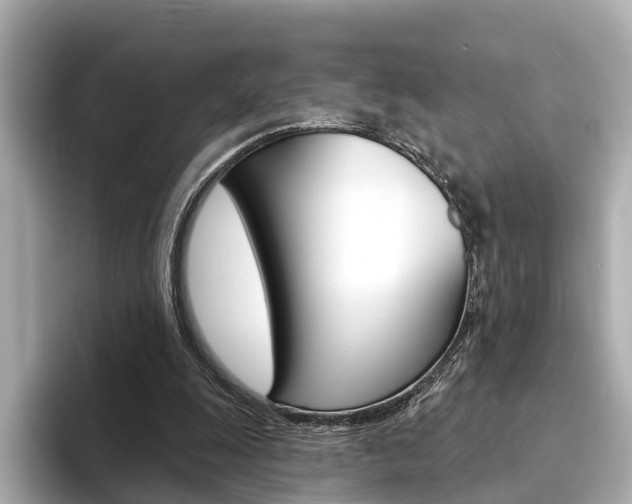 X0000094330247200711021136
