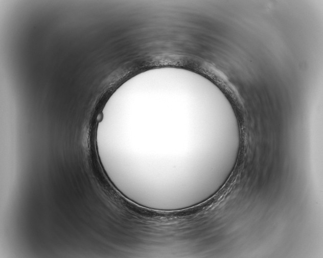 X0000094330250200711021136