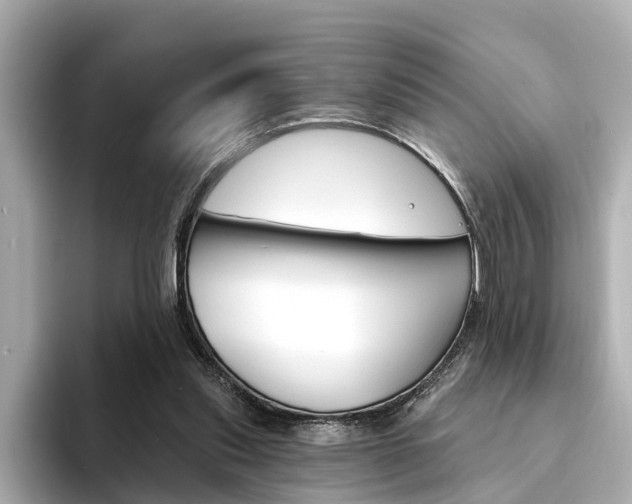 X0000094330253200711021136