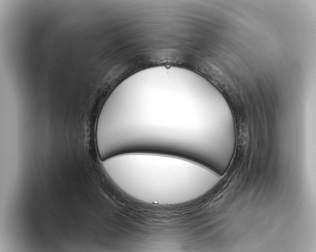 X0000094330255200711021136