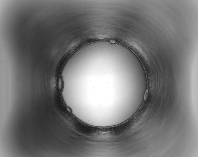 X0000094330260200711021136