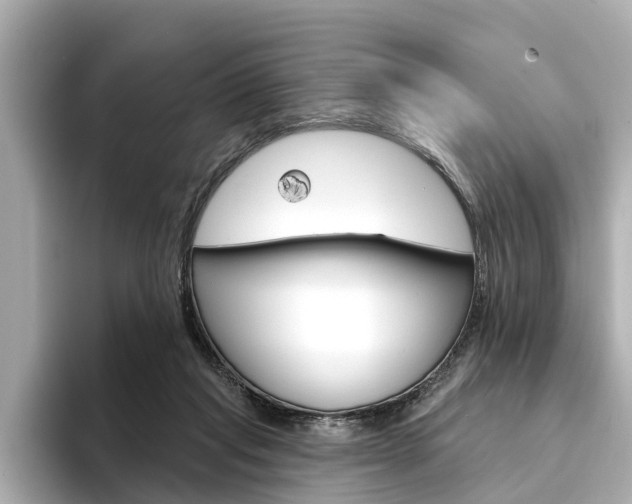 X0000094330261200711021136