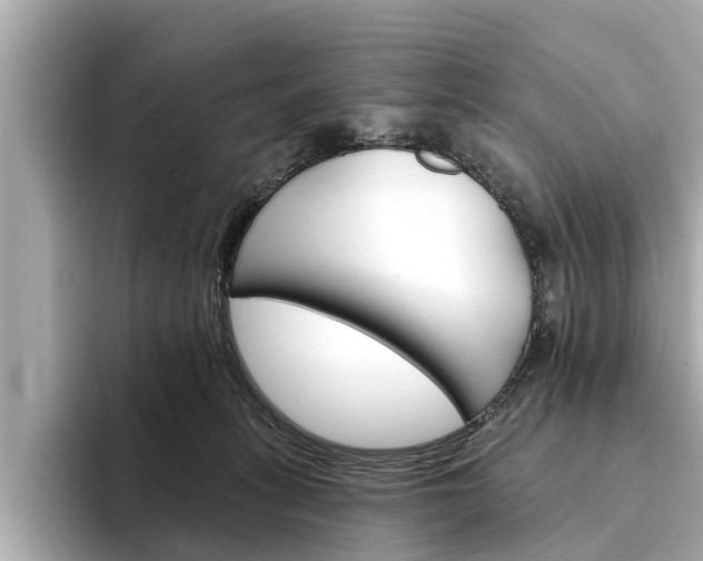 X0000094330275200711021136