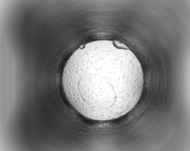 X0000094330278200711021136