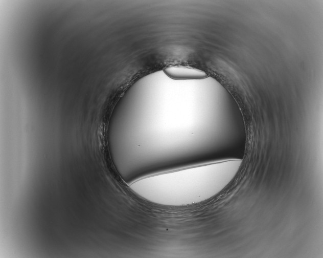 X0000094330280200711021136
