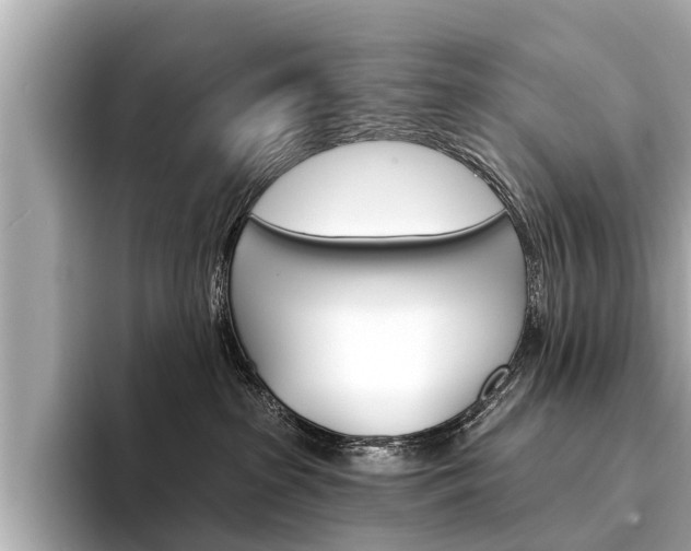 X0000094330285200711021136