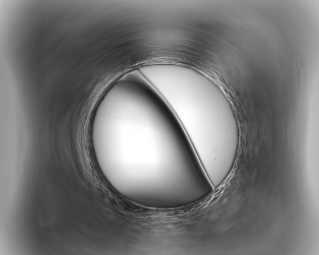 X0000094330289200711021136