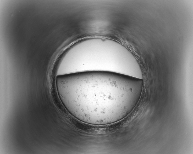 X0000094330295200711021136