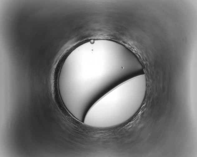 X0000094330296200711021136
