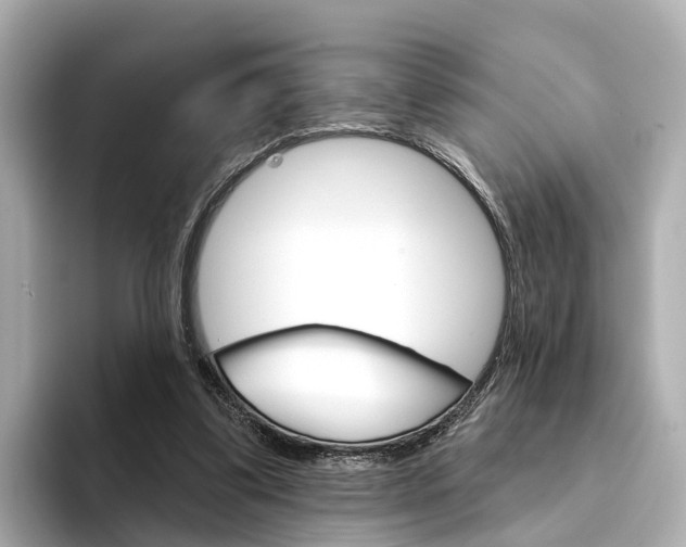 X0000094330299200711021136