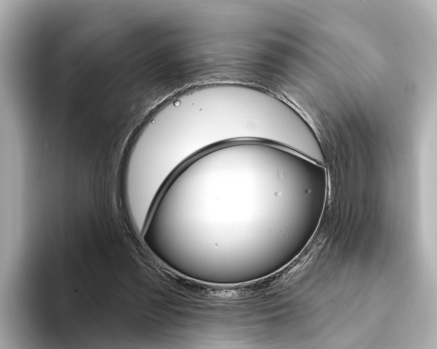 X0000094330301200711021136