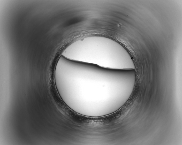 X0000094330303200711021136