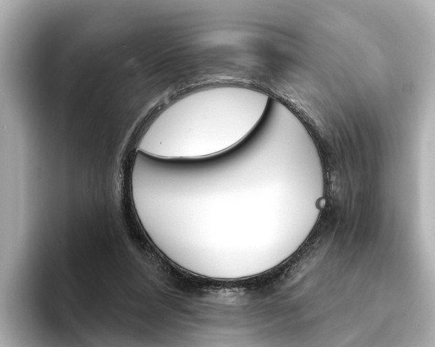 X0000094330304200711021136